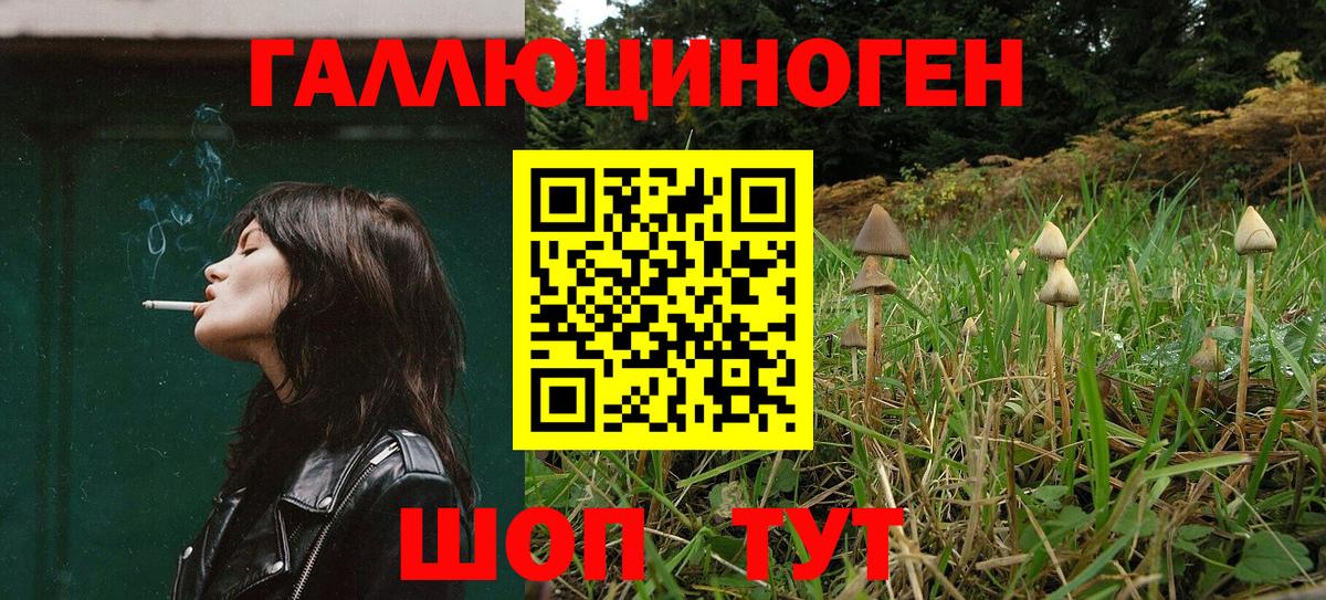 Сорочинск  Галлюциногенные грибы MAGIC MUSHROOMS  Галлюциногенные грибы мицелий  где продают   Вход с VPN 